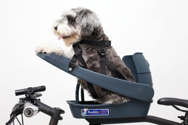 Siège de bicyclette Buddyrider pour animaux – Image 4