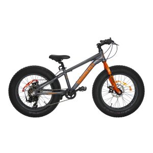 damco snowbeast 20 2025